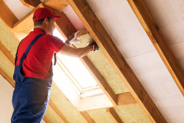 Best Attic Insulation Installation  in Boiling Spring Lakes, NC